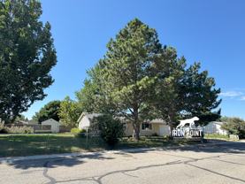 10447 W Lockwood St - Photo 1 of 1