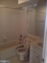 11017 Lake Victoria Ln #ONLY - Photo 1 of 1