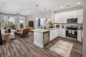 featured image of 325 Fusion Dr.