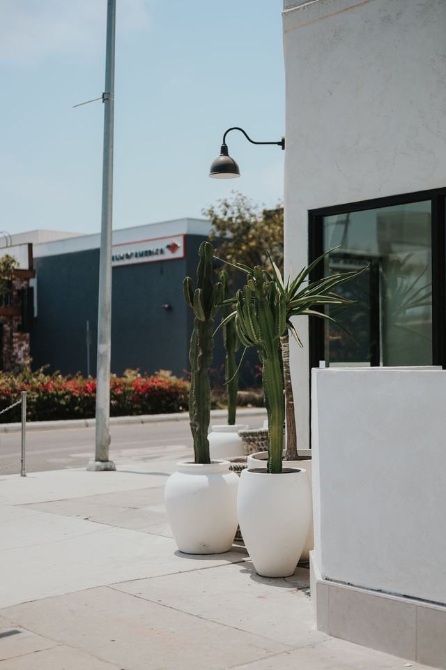 The Waldorf - Photo 6 of 13