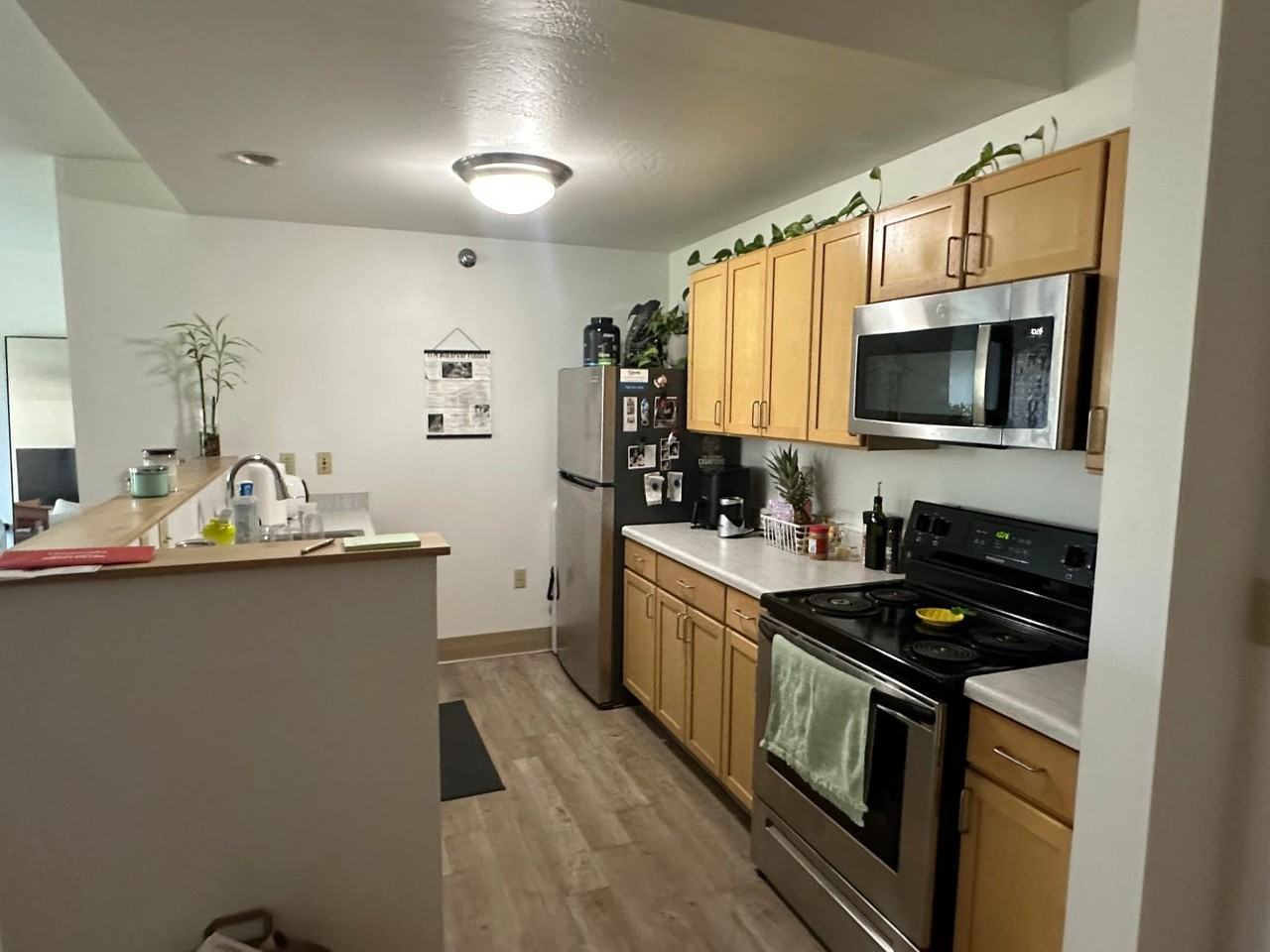 Brew Hill Apartments - Photo 4 of 18