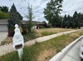 731 Shiloh Way - Photo 1 of 1