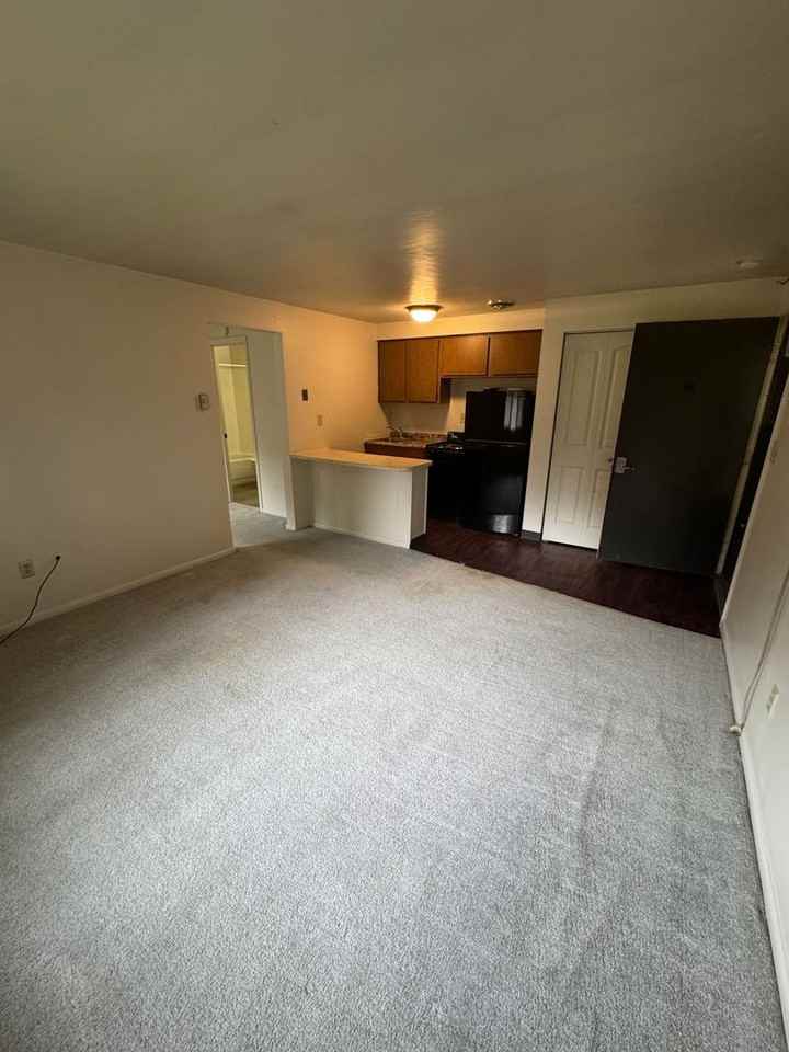 415 Lunar Ln - Photo 3 of 10