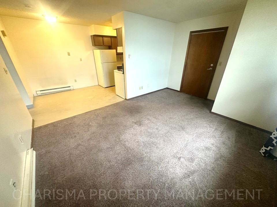 513 N Main Ave #3 - Photo 5 of 29