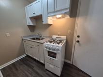 1332 Minnehaha Ave W - Photo 1 of 1