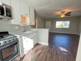 *1215 Hornblend - Photo 1 of 1