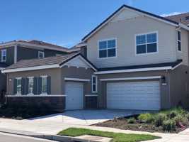 featured image of 494 Liz Ter