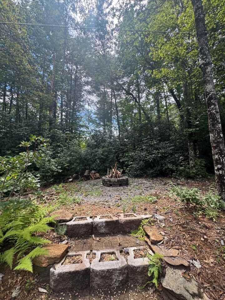 221 Indian Ridge Trl - Photo 5 of 21