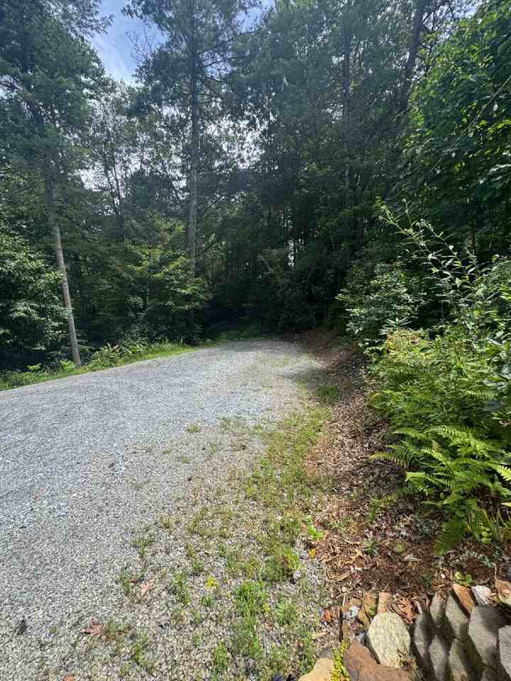 221 Indian Ridge Trl - Photo 6 of 21