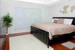 featured image of 888 Saddlebred Way