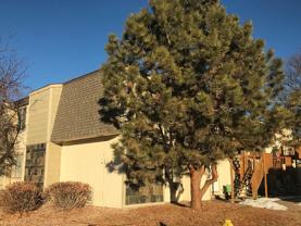 1420 Birch St #3 - Photo 1 of 1