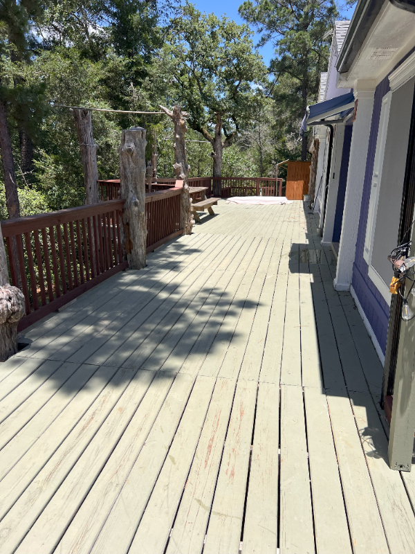 491 Pine Canyon Dr - Photo 3 of 13