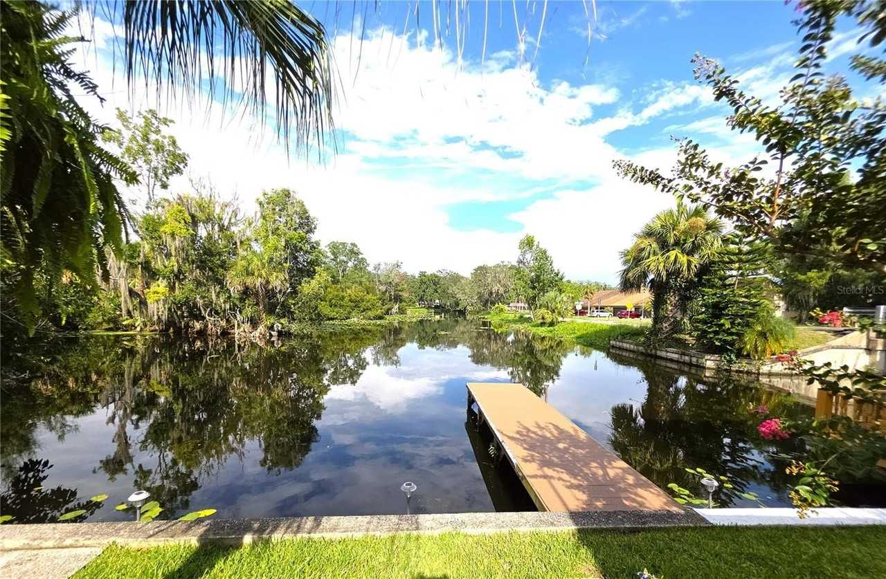 804 Palm Harbor Ct - Photo 2 of 28