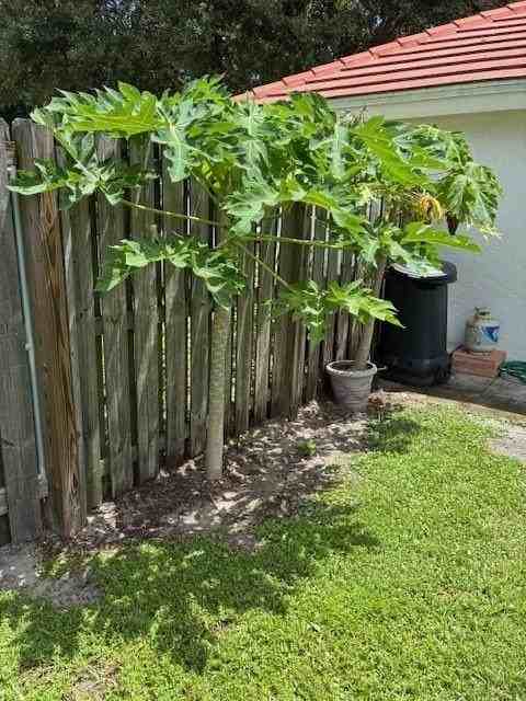 6639 Hatteras Dr - Photo 7 of 41