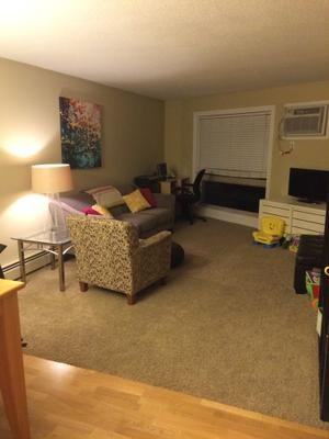 2 bedroom/1.5 bathroom spacious modern apartment available March 1 - Photo 2 of 8