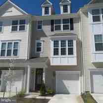 43830 Royal Fern Ln - Photo 1 of 1