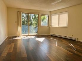 2040 8th Ave N #201 - Photo 1 of 1