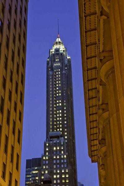 Pine St #1123 - Photo 3 of 4