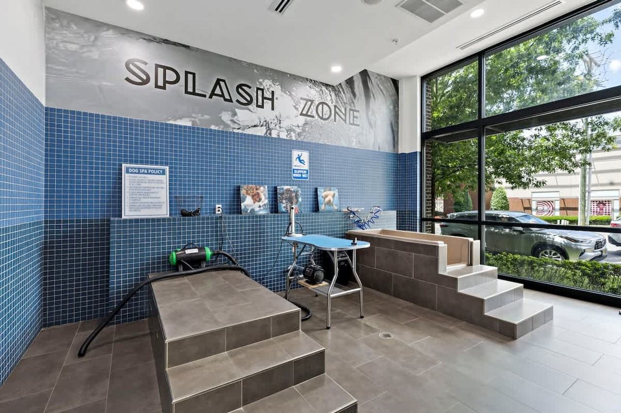 205 South Kings Drive - Photo 6 of 77