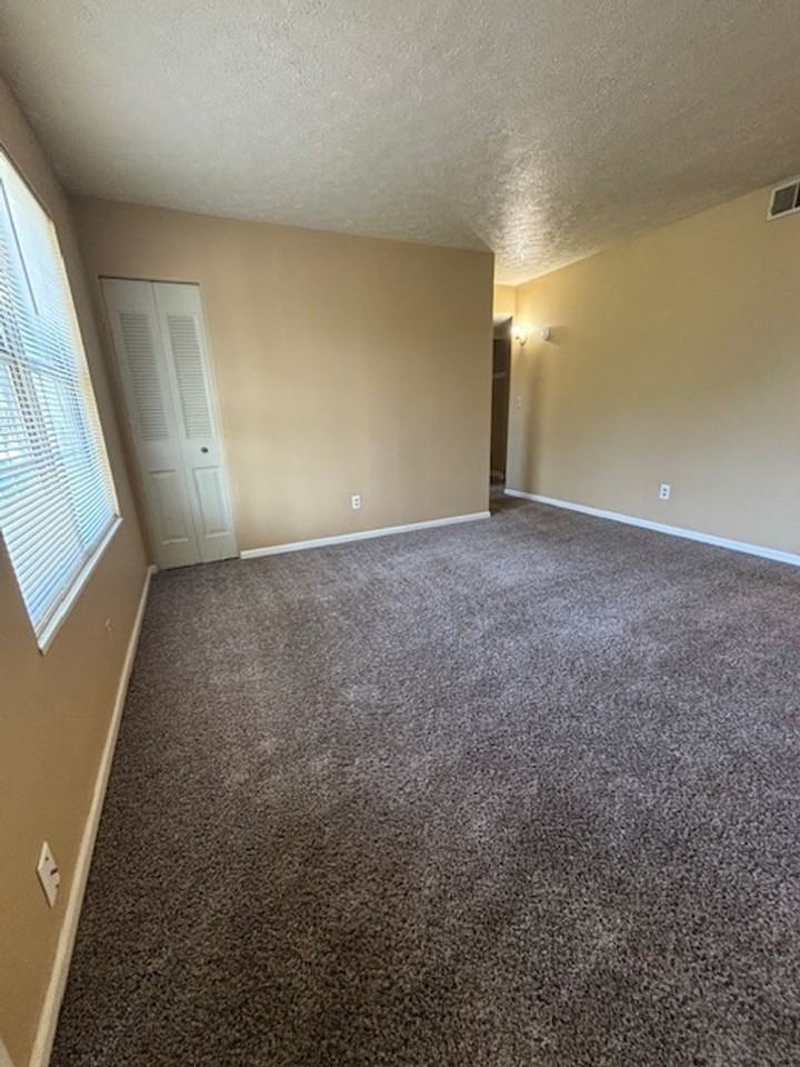 409 Shelby Ave #1 - Photo 2 of 13