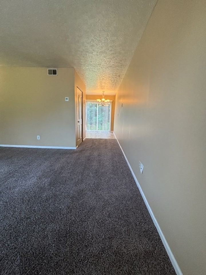 409 Shelby Ave #1 - Photo 3 of 13