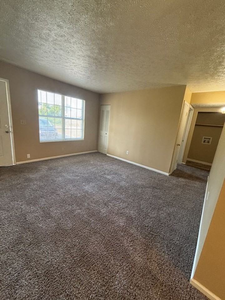 409 Shelby Ave #1 - Photo 4 of 13