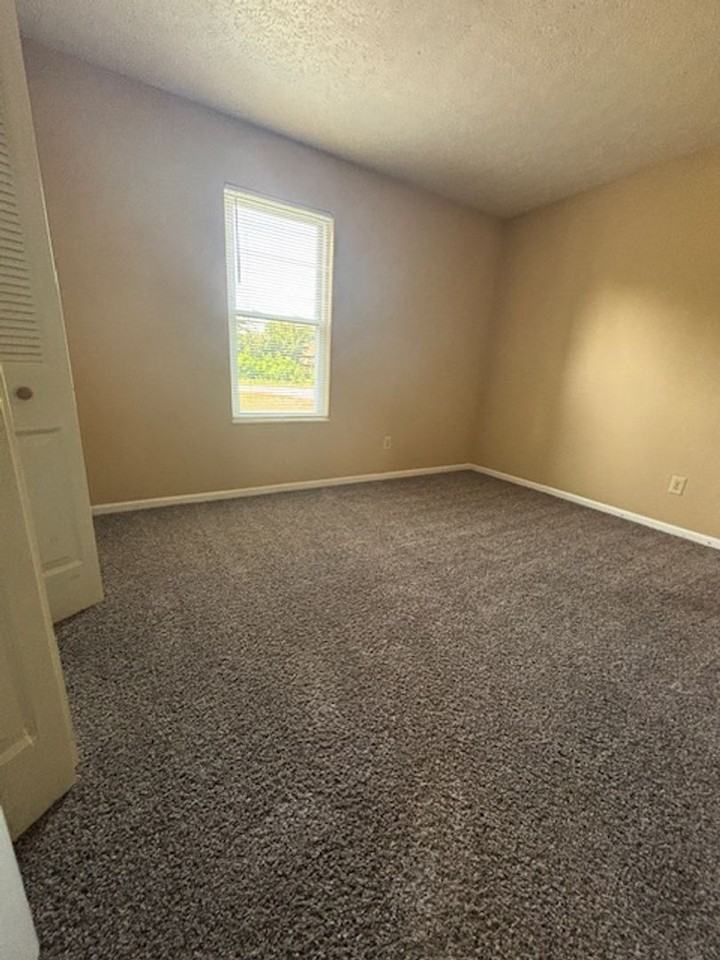 409 Shelby Ave #1 - Photo 7 of 13