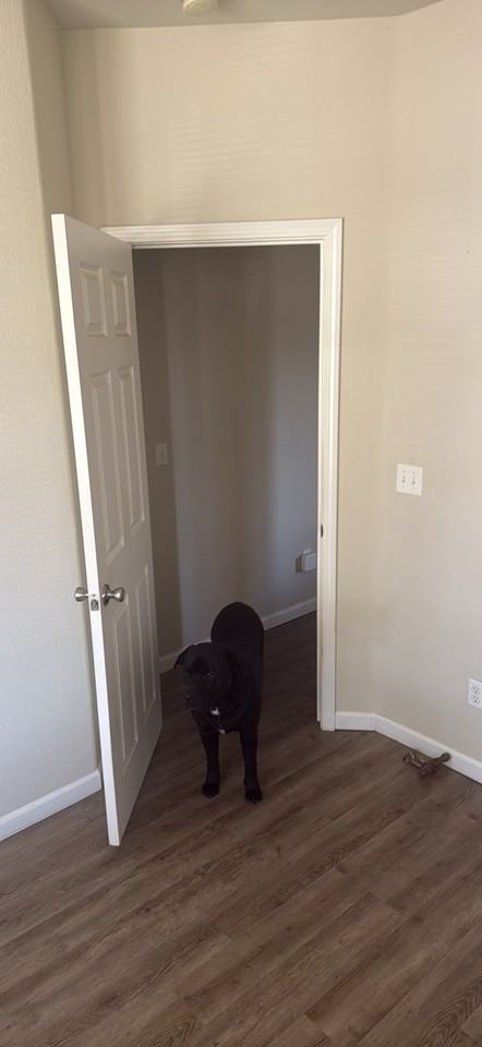 2213 August Way #NA - Photo 3 of 14