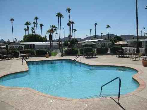 16608 N 1st Ln #0142 - Photo 6 of 9