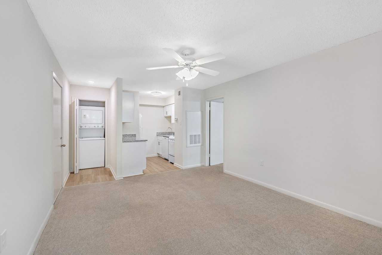 Surfrider - Photo 4 of 31