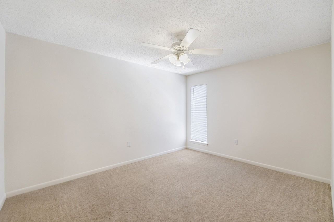 Surfrider - Photo 5 of 31