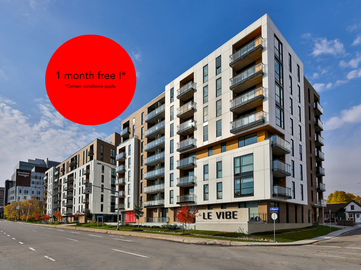 Le Vibe - Photo 3 of 14