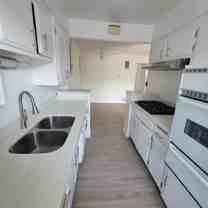 v3629 - Photo 1 of 1