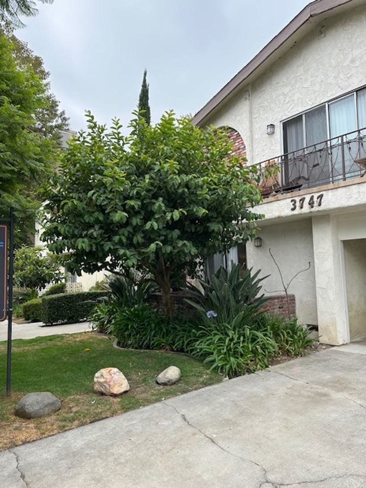 m3747 - Photo 6 of 8