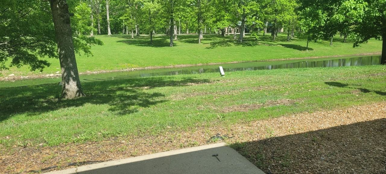 16 Dogwood Ln - Photo 7 of 7