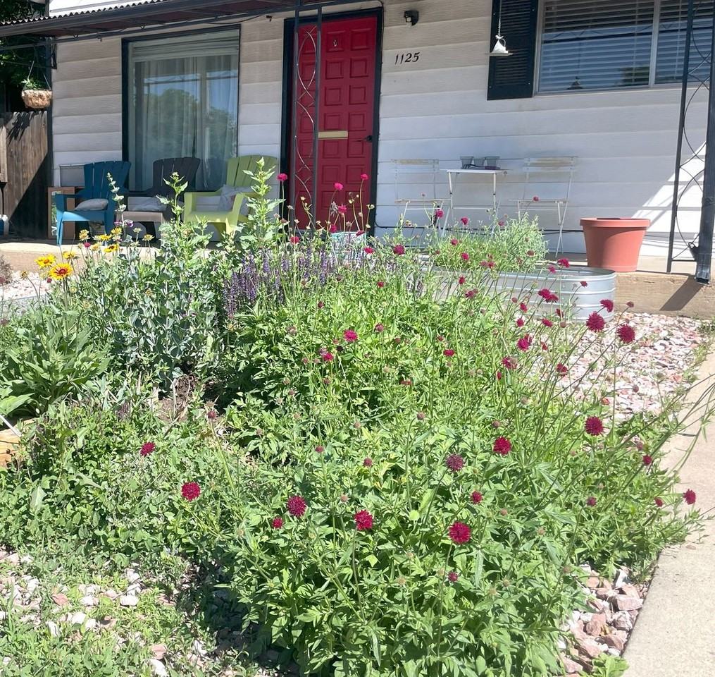 1125 Pine St - Photo 2 of 24