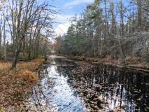 22 Adams Ln - Photo 1 of 1