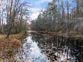 featured image of 22 Adams Ln