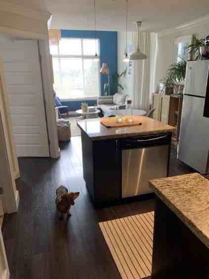 2515 Park Drive #418 - Photo 2 of 7