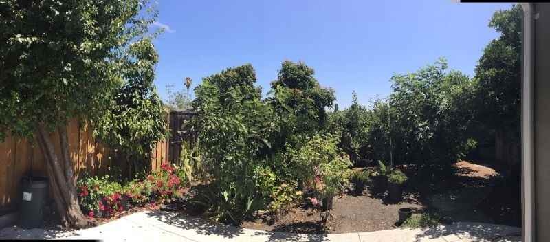 2150 Clarke Ave - Photo 2 of 11