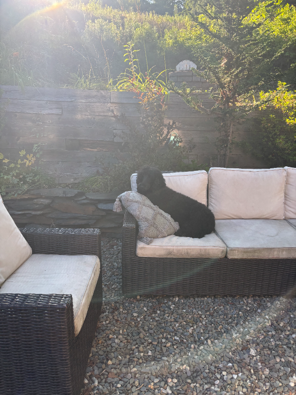 3550 Coolidge Hwy - Photo 7 of 12