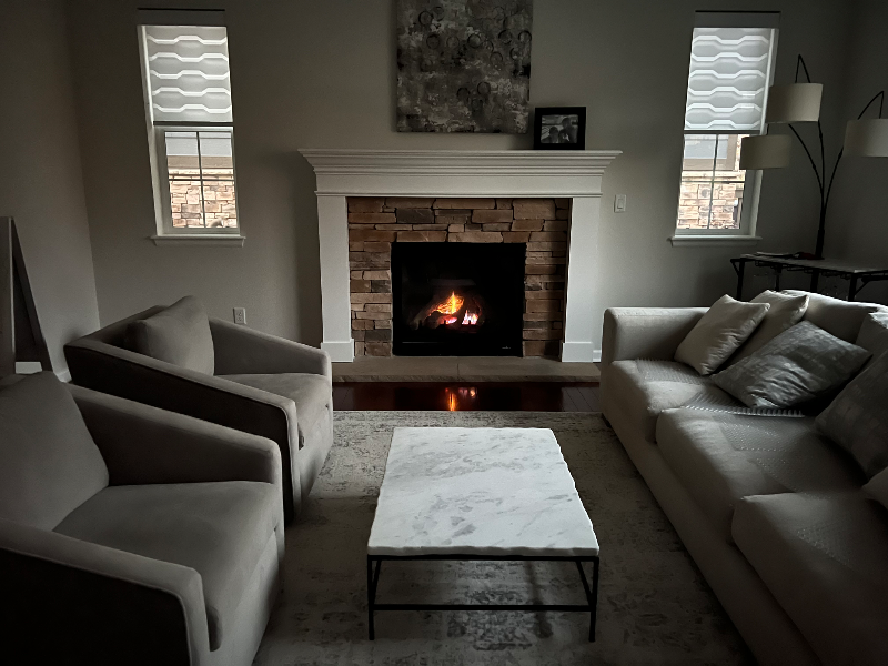 651 Tiger Lily Way - Photo 6 of 34