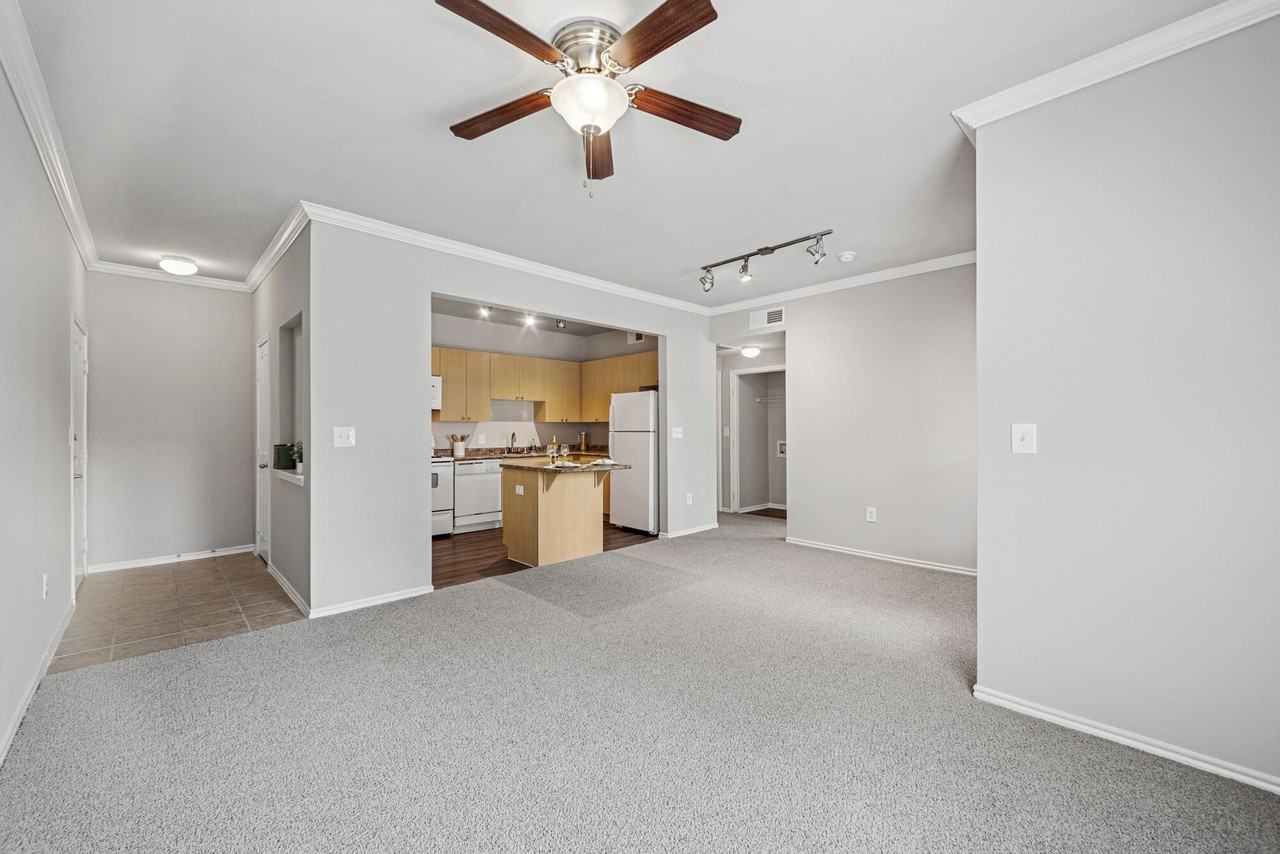 The Residences Of Holland Lake - Photo 3 of 50