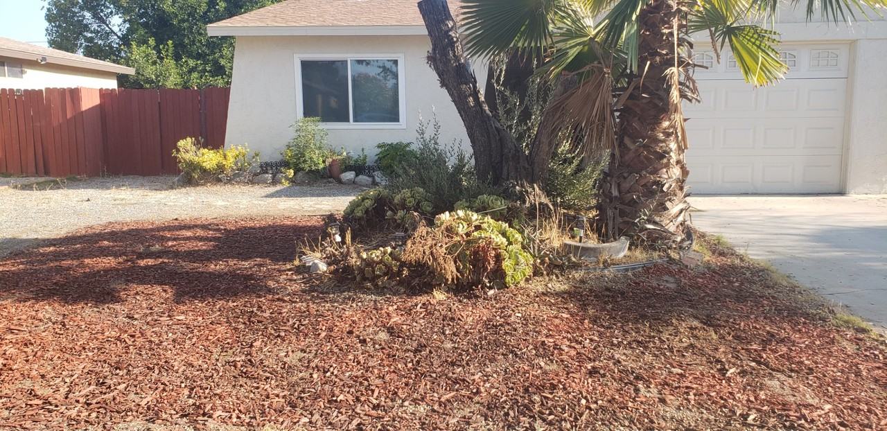 2159 Avenida Estrada - Photo 4 of 7