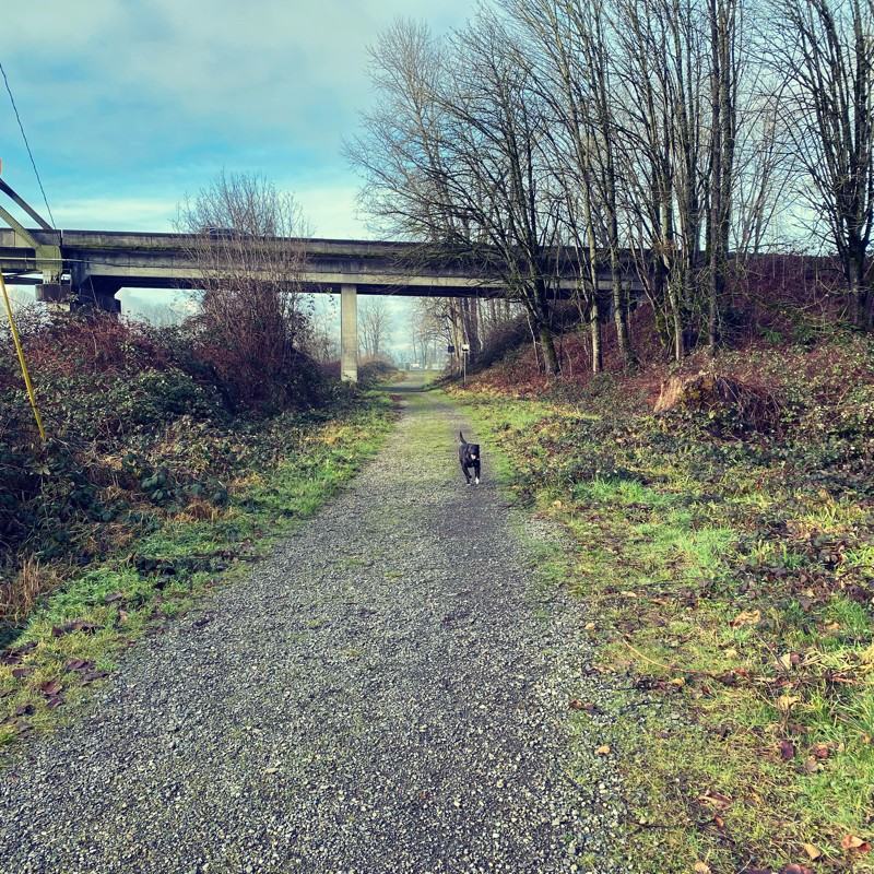 5621 126th St Se - Photo 3 of 21