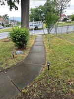 featured image of 202 Colfax Ave Apt 3 #NA