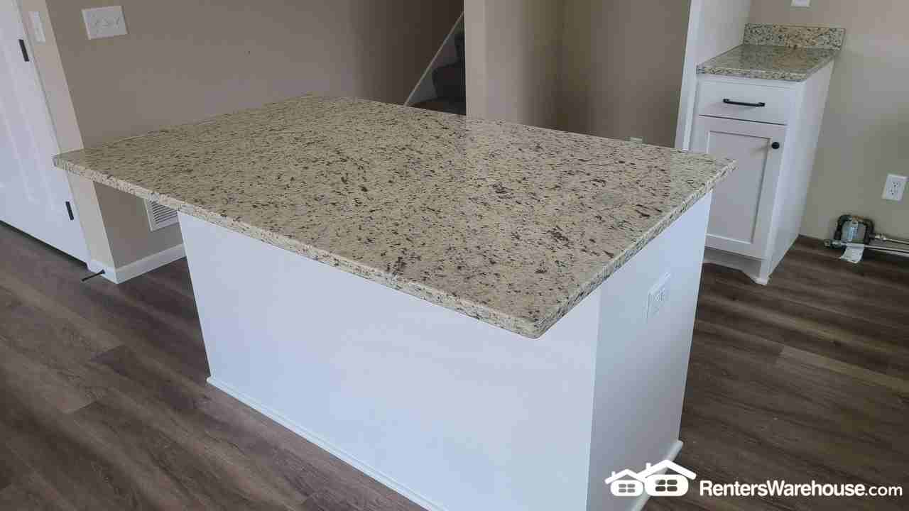 1027 45th Ave Ne - Photo 3 of 17