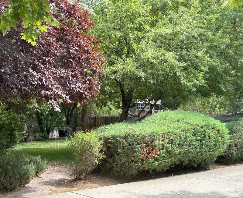 1106 Happy Valley Ct - Photo 3 of 42