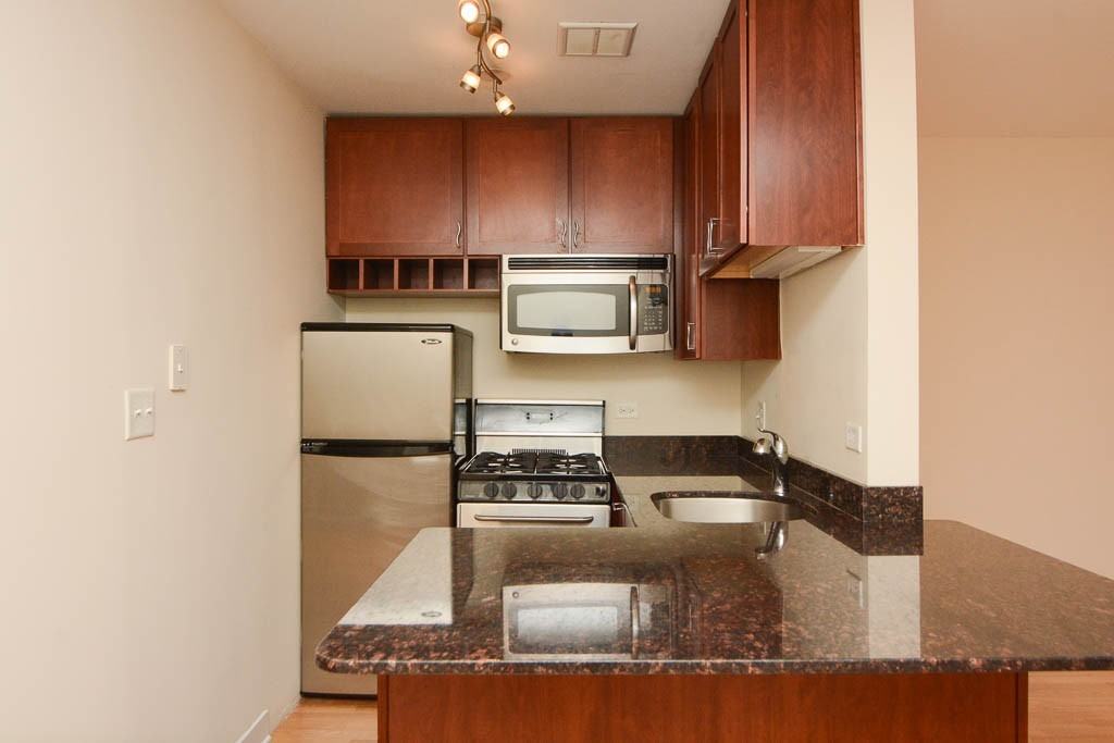 625 W Wrightwood Ave #219 - Photo 2 of 16