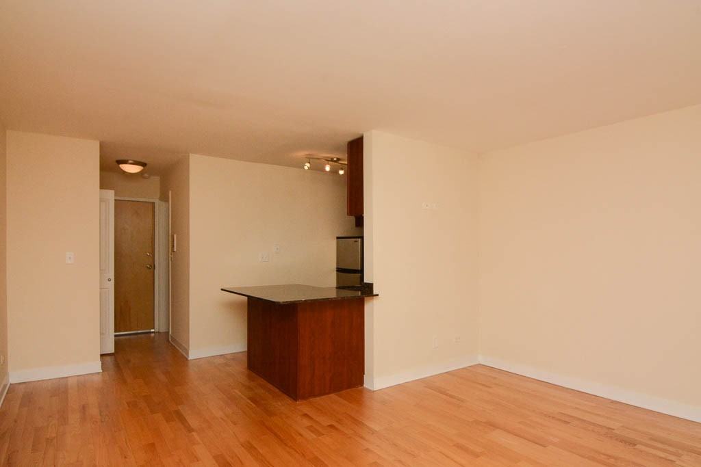625 W Wrightwood Ave #219 - Photo 7 of 16